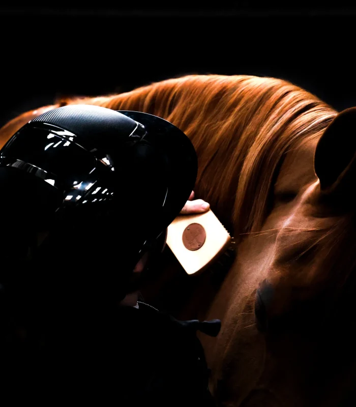 shooting photo equitation